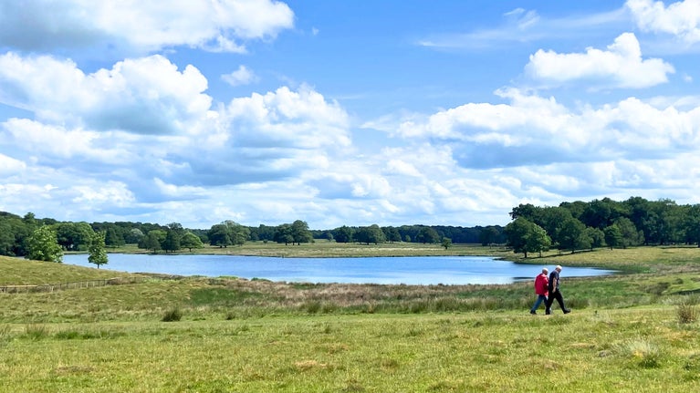 Walkers on the Field to Fork Trail, Tatton Park, Cheshire